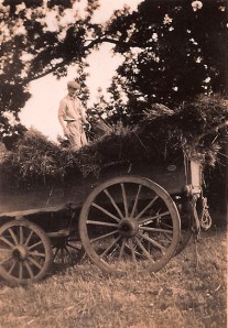 John on farm apprenticeship