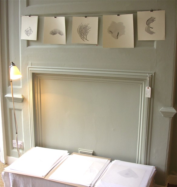 Pencil drawings – Amy Green