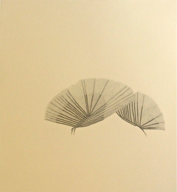 Pencil drawing – Amy Green