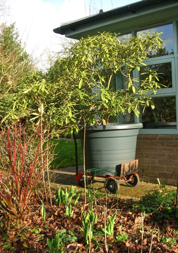 DSCN4876 - Version 2