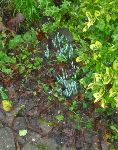 DSCN6902 - Version 2