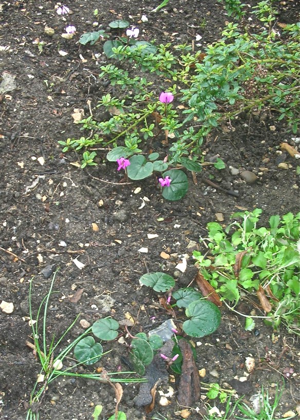 DSCN6907 - Version 2