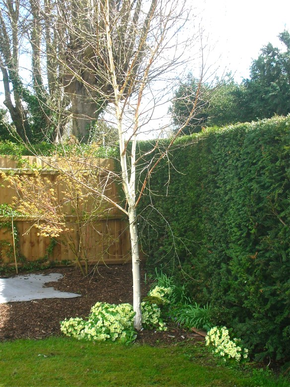 DSCN7234 - Version 2