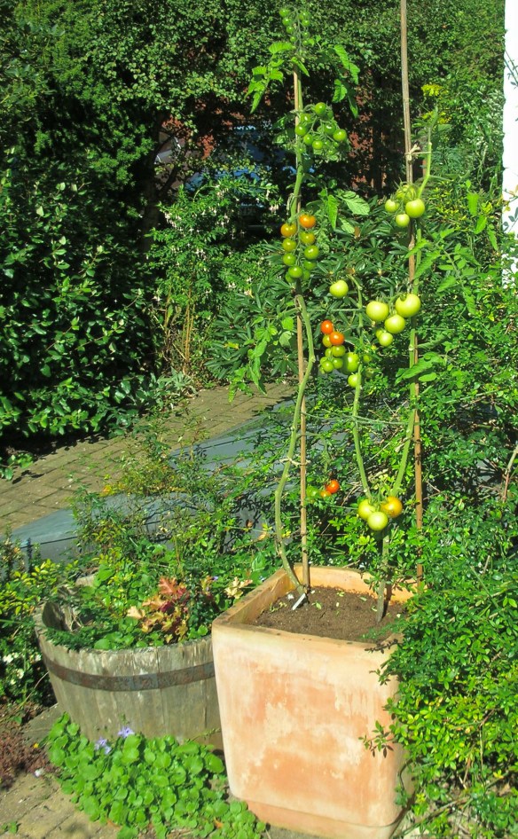 DSCN8281 - Version 2