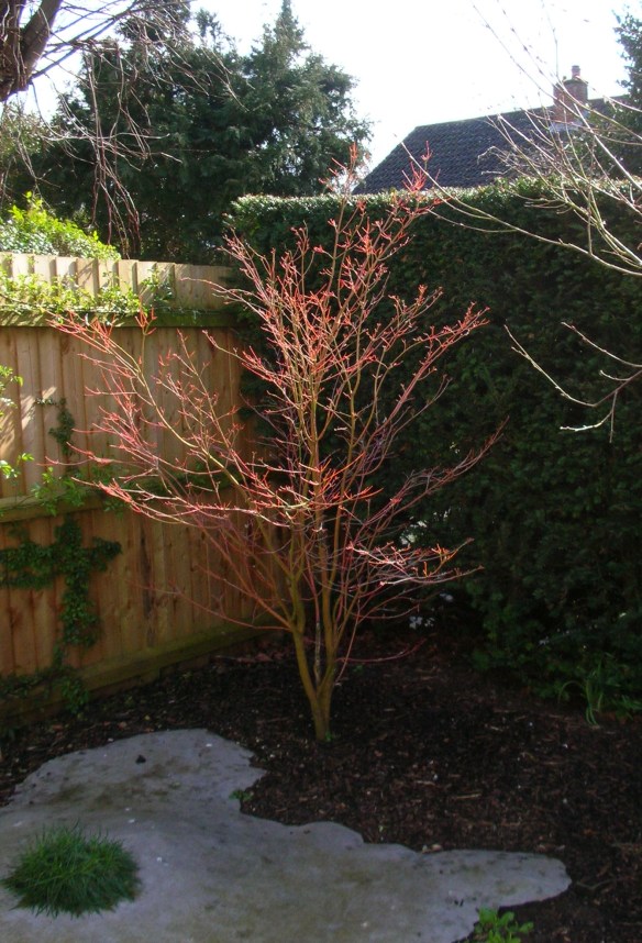 DSCN9079 - Version 2