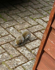 DSCN9271 - Version 2