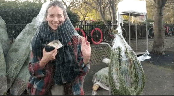 screen-shot-2016-12-17-at-17-06-24